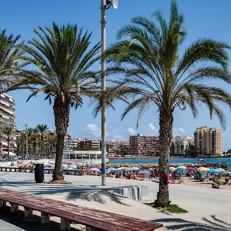 Felix Rodrigues Daire Torrevieja